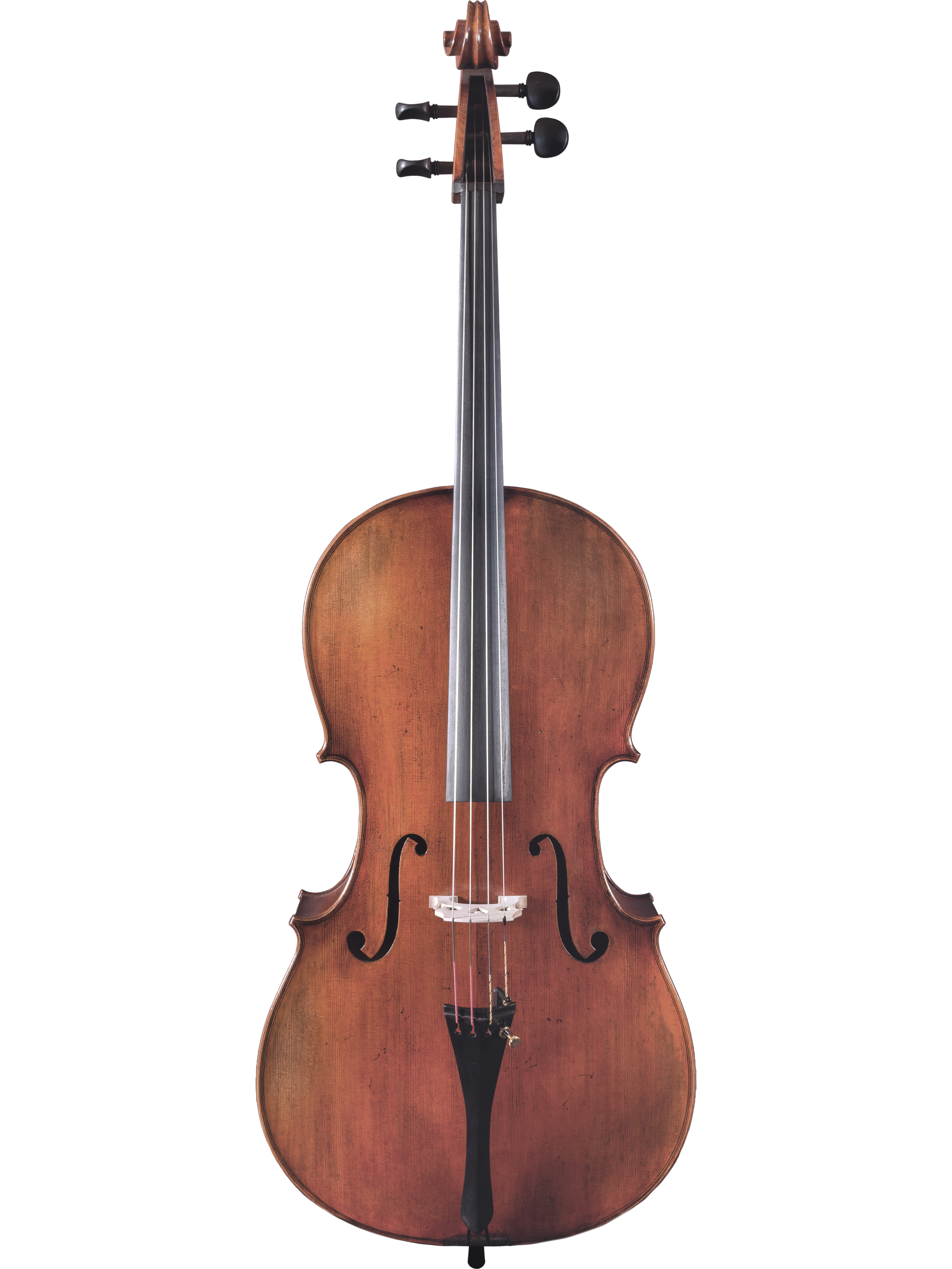 Master Linn Cello — Maple Leaf Strings